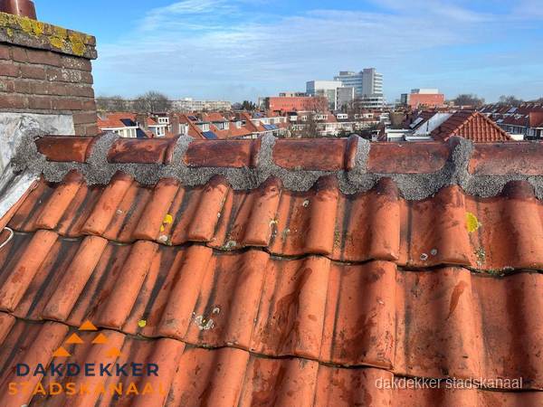 Pannendak met nokvorst en schoorsteen, dakrenovatie in Stadskanaal