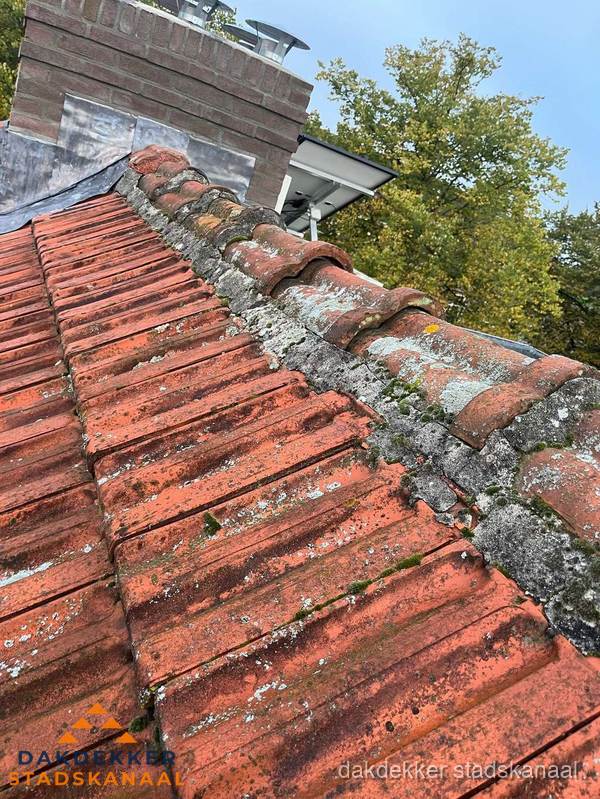Verweerd hellend dak met mosgroei op nokvorst in Stadskanaal